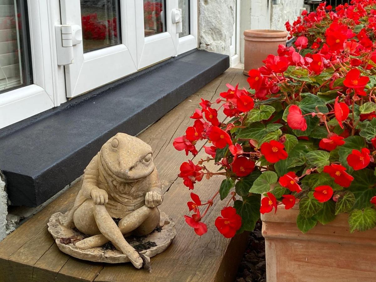 Toadhall Rooms Muchalls Bagian luar foto