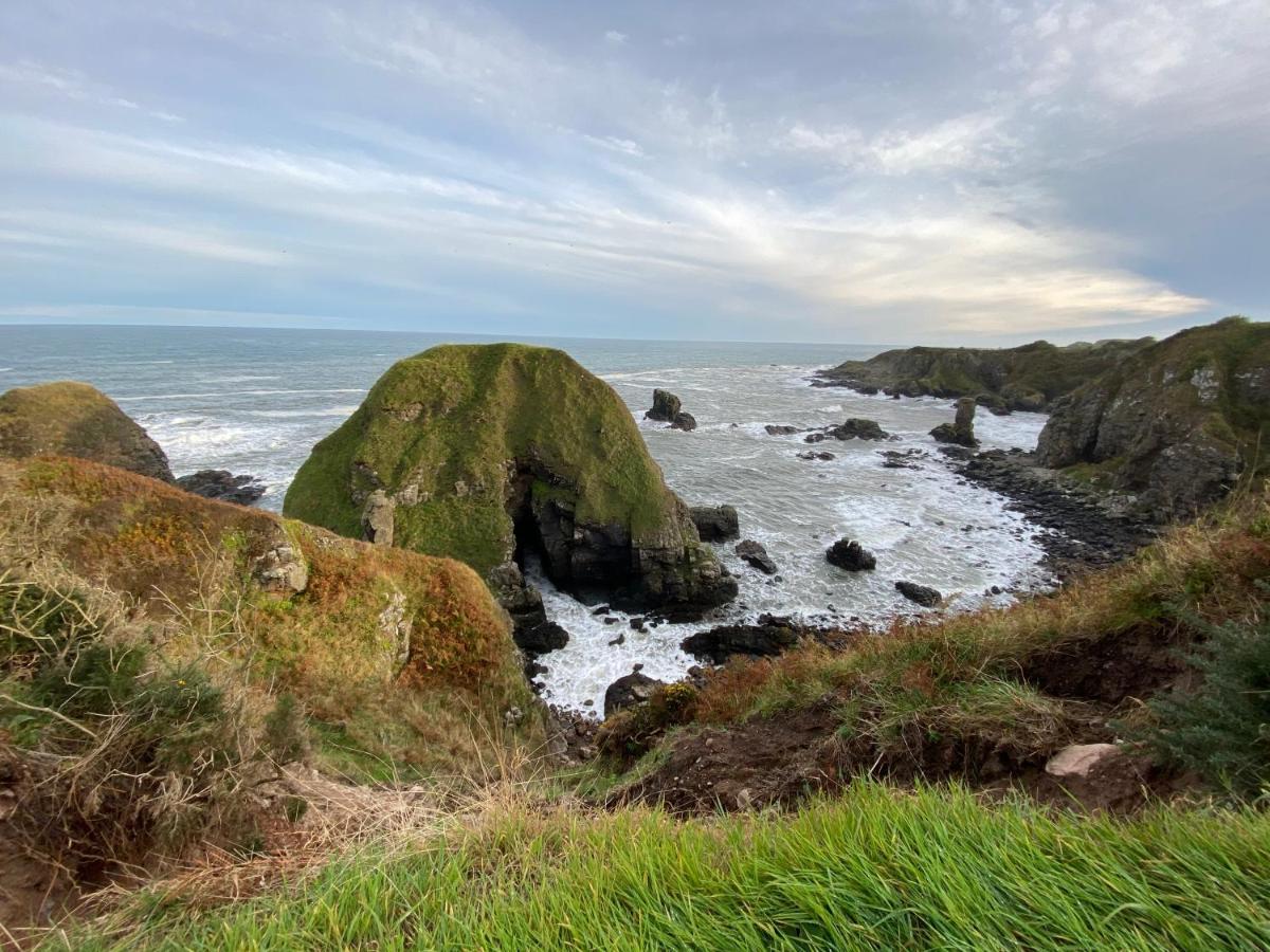 Toadhall Rooms Muchalls Bagian luar foto