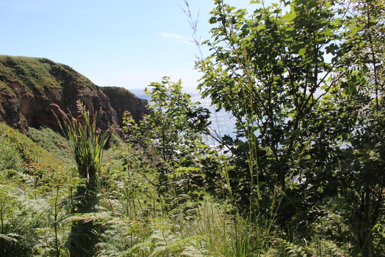 Toadhall Rooms Muchalls Bagian luar foto